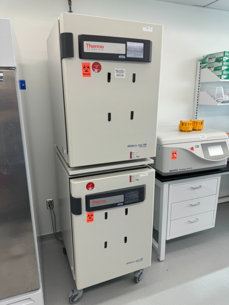 Image of Thermo HERAcell vios 160i Double Stack CO2 Incubator